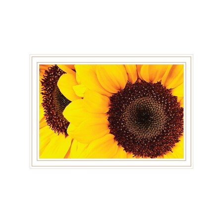 Homeroots Sunflower Portrait White Framed Print Wall Art 529970