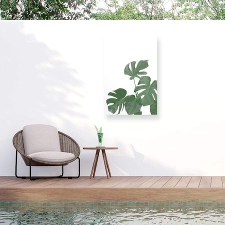 Trademark Fine Art Outdoor Canvas Art Pictufy Studio II Monstera Aqua 04 Wall Art for Patios, or Gardens 1X19151-OC2232WR