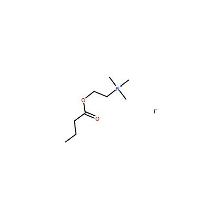 Ak Scientific Butyrylcholine iodide (1g), CAS 2494-56-6 8143AF-1g
