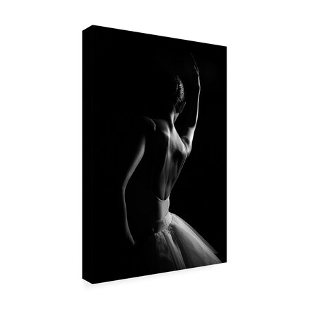 Trademark Fine Art Outdoor Canvas Art - Paulo Medeiros 'The Dancer' Wall Art for Patios, or Gardens 1X16296-OC1219WR
