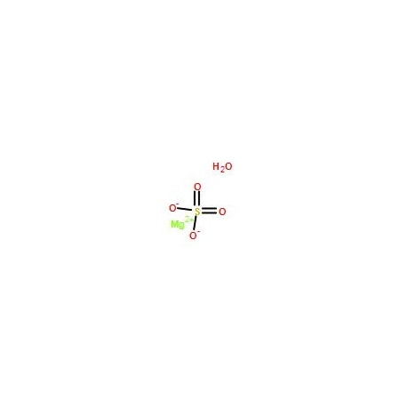 Ak Scientific Magnesium sulphate monohydrate (1kg), CAS 14168-73-1 S453-1kg