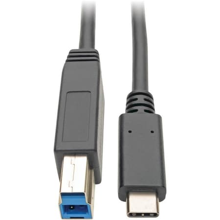 Tripp Lite USB C to USB Type B Cable 5 Gbps USB Type C to USB-B M/M 6ft U422-006