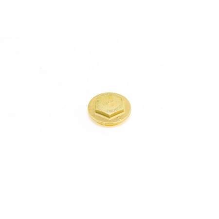 Hoffman CAP FOR 8C STEAM TRAPS 601036
