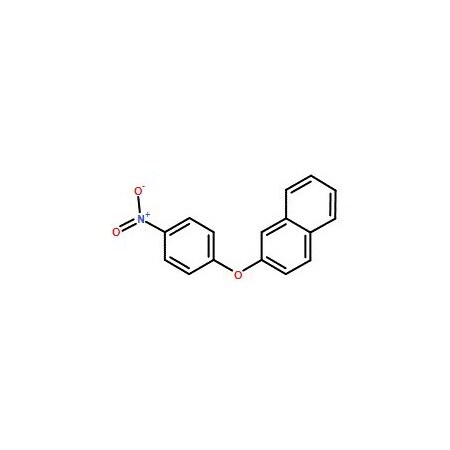 Ak Scientific 2-(4-Nitrophenoxy)naphthalene (250mg), CAS 71311-82-5 5029AL-250mg