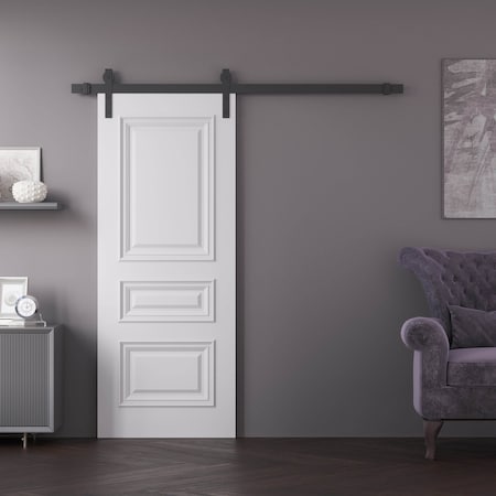 Sartodoors Barn Door 32x96 inches White Solid Core Modern Interior ROYAL9833BD-B-EMAL-3296