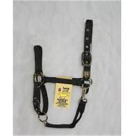 Hamilton Halter Co -1DAS LGBK Adjustable Chin Horse Halter With Snap Black 1DAS LGBK
