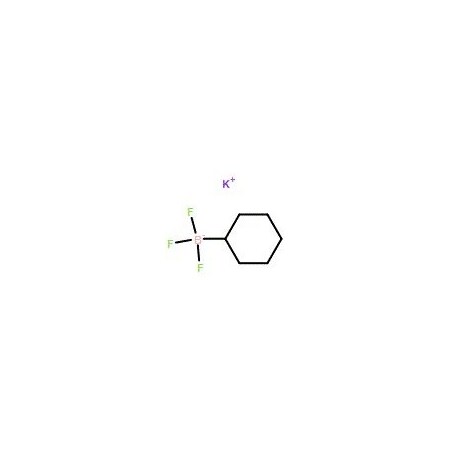 Ak Scientific Potassium cyclohexyltrifluoroborate (1g), CAS 446065-11-8 X0807-1g