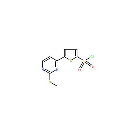 Ak Scientific 5-[2-(Methylthio)pyrimidin-4-yl]thiophene-2-sulfonyl chloride (1g), CAS 175202-76-3 Y7955-1g