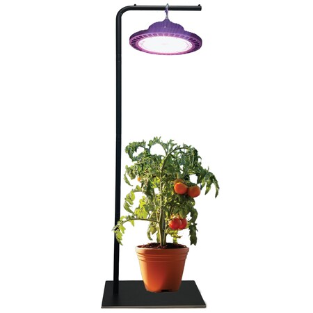 Miracle Led 5-Gallon Growing Combo with 100W Grow LED Light, 5ft Stand 803022
