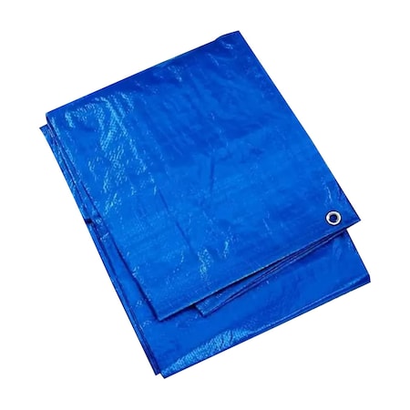 Tarps Now Tarps, 20 ft x 30 ft, 6 Mil, Blue, Polyethylene CSP6B-2030