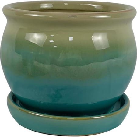 Border Concepts 5 in. H X 6 in. W Ceramic Archdale Planter Moss 527845A