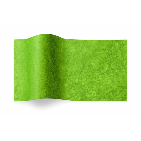 Seaman Paper 20X30 Green Tea Paper, 480PK 20300020