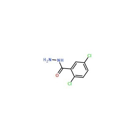 Ak Scientific 2, 5-Dichlorobenzhydrazide (25g), CAS 67487-35-8 7927AE-25g