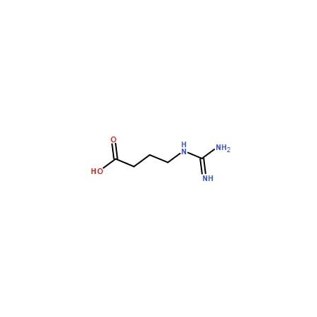 Ak Scientific 4-Guanidinobutyric acid (1g), CAS 463-00-3 7329AF-1g