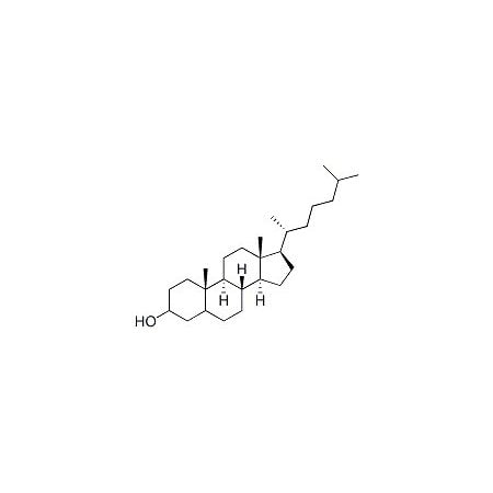 Ak Scientific Dihydrocholesterol (10g), CAS 80-97-7 M305-10g