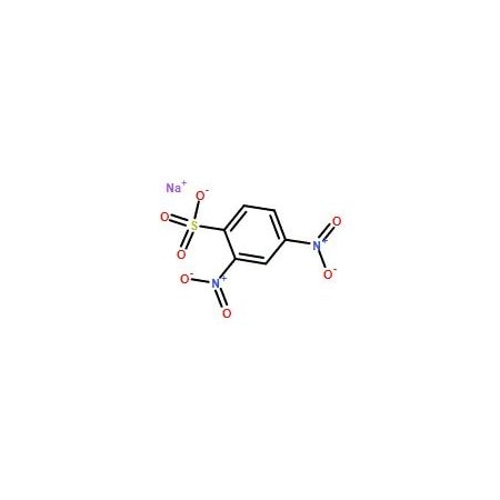 Ak Scientific Sodium 2, 4-Dinitrobenzenesulfonate (25g), CAS 885-62-1 5324AL-25g