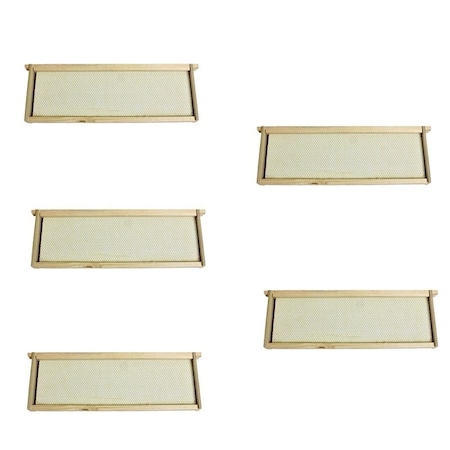 Harvest Lane Honey Medium Beehive Frame with Foundation WWFFM-102-5