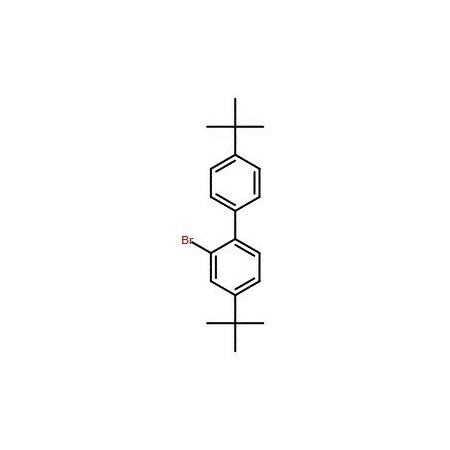 Ak Scientific 2-Bromo-4, 4'-di-tert-butyl-1, 1'-biphenyl (5g), CAS 70728-89-1 0969AC-5g