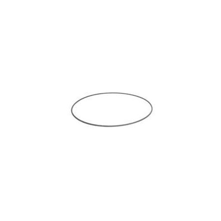 Hyster REPLACEMENT O-RING 1650400