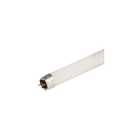 Ge 8W 2ft T8 LED Tube, Glass, 3500K, 20PK LED8ET8/G/2/835