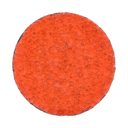 Norton Abrasives Quick Change Disc, 2", 36 Grit, F980 66261058704