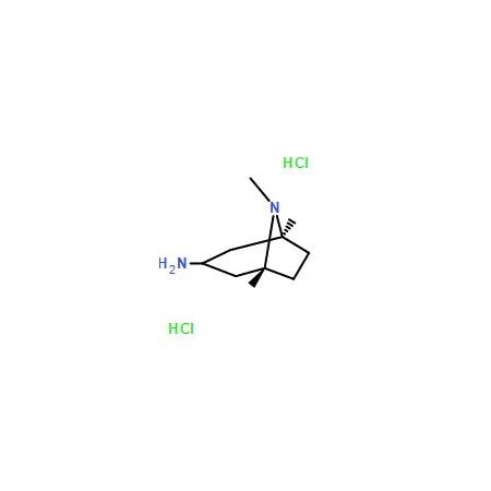 Ak Scientific 8-Methyl-8-azabicyclo[3.2.1]octan-3-amine dihydrochloride (1g), CAS 646477-45-4 V0889-1g