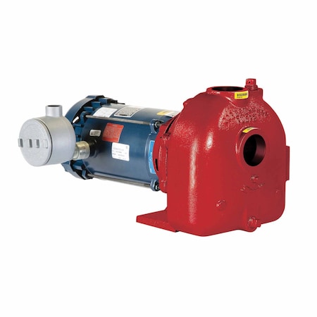 Fill-Rite ElectricDrumPump, CastIron, 115/230VAC FR-02D3XP20-60HZ1P