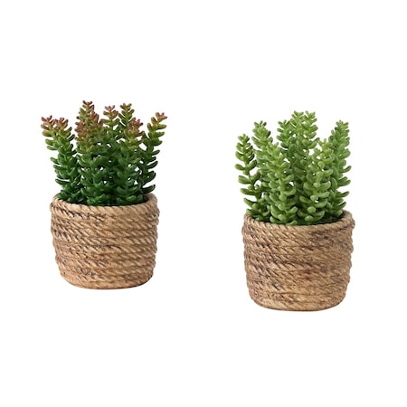 Monarch Specialties Artificial Plant, 7-in. Tall, Succulent, Table, Brown Cement Pots, Contemporary, Modern, 2PK I 9367