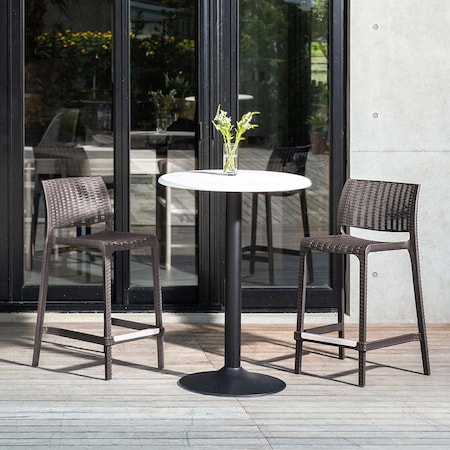 Lagoon Rue Resin Stackable Counter Height Stool Rattan Style with Aluminum Footrest, 2PK 7036N3-CSLGS