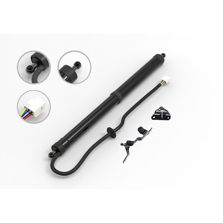 Fcs Struts Liftgate Lift Support E89025R
