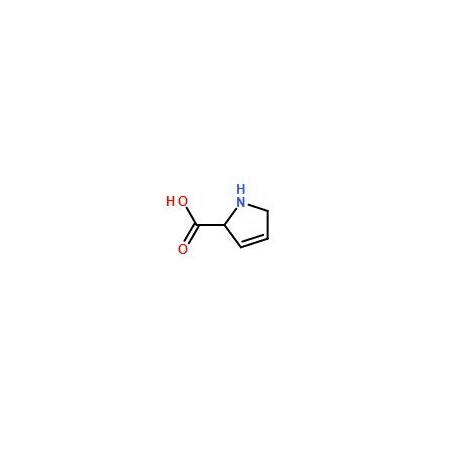 Ak Scientific 2, 5-Dihydro-1H-pyrrole-2-carboxylic acid (25mg), CAS 3395-35-5 0852AE-25mg