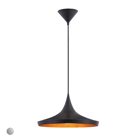 Eurofase Ramos Transitional Incandescent Pendant, 1-Light, Black/Brass/Black 20439-019