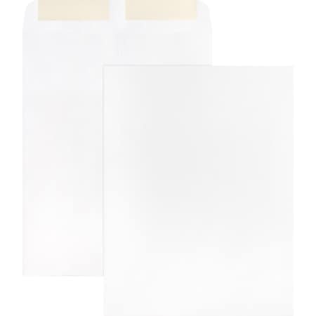 Business Source Catalog Envelope, White, Wove, PK250 BSN42102