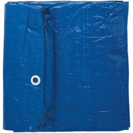 Do It Best Blue Woven 10 Ft. x 12 Ft. General Purpose Tarp 725317