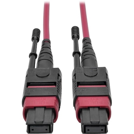 Eaton Tripp Lite Series 100G MTP/MPO Multimode OM4 Plenum-Rated Fiber Optic Cable F/F, 12 Fiber, N845-15M-12-MG
