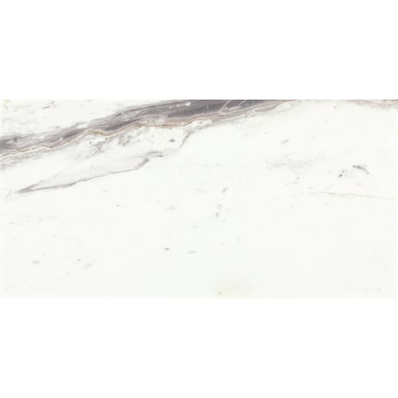 Daltile Eclessia Marble Natural Stone 12 x 24 Wall and Floor Tile Polished, 10.00 SQFT Per Carton, 5PK M34512243/8PL