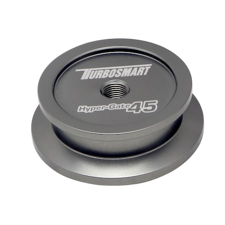 Turbosmart WELD IN BUNGS For Use On  45MM Wastegate Flange; With Hose Nipple and Plug TS-0550-3077