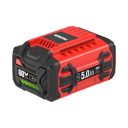 Prorun 60V Lithium-Ion 5.0 Ah Battery Pack PB16050