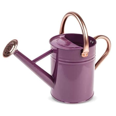 Gardman Usa Gardman  1 gal Watering Can, Violet & Copper R34881X