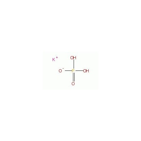 Ak Scientific Monopotassium phosphate (500g), CAS 7778-77-0 W8424-500g