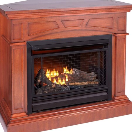 Bluegrass Living Vent Free Natural Gas Fireplace System, 26,000 BTU ...