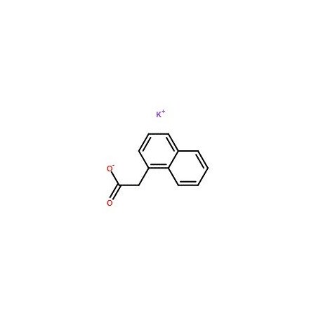 Ak Scientific Potassium 1-Naphthylacetate (1g), CAS 15165-79-4 6086AF-1g