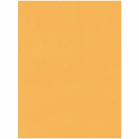 Quality Park Jumbo Catalog Envelopes, 15 "W, 20 "H, PK25 QUA42355