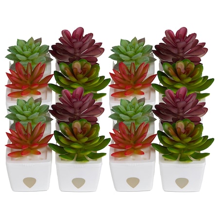 Jt Eaton ZendoZones Fruit Fly Traps, 12 Assorted with White Base 1818B-VAN