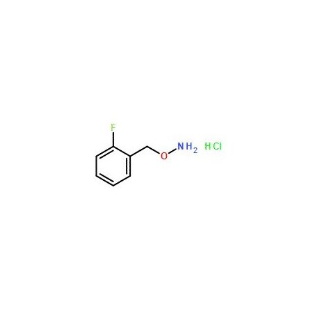 Ak Scientific 1-[(Aminooxy)methyl]-2-fluorobenzene hydrochloride (25g), CAS 215599-91-0 7325AD-25g