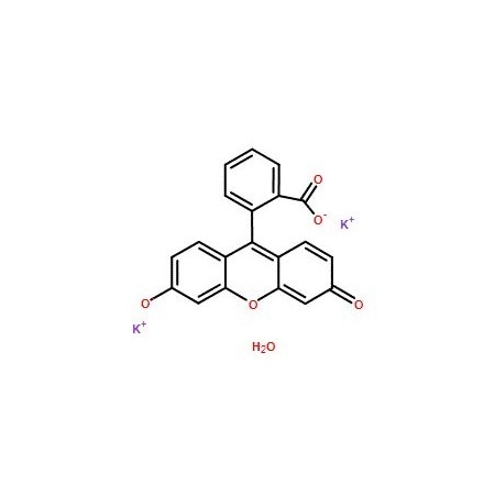 Ak Scientific Uranine K (1g), CAS 6417-85-2 9394AL-1g