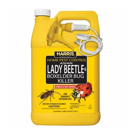 Pf Harris GAL Beetle Elder Killer HBXA-128