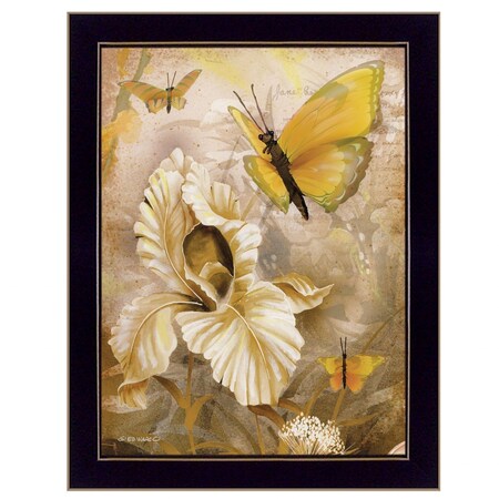 Homeroots Flowers and Butterflies I 1 Black Framed Print Wall Art 415881