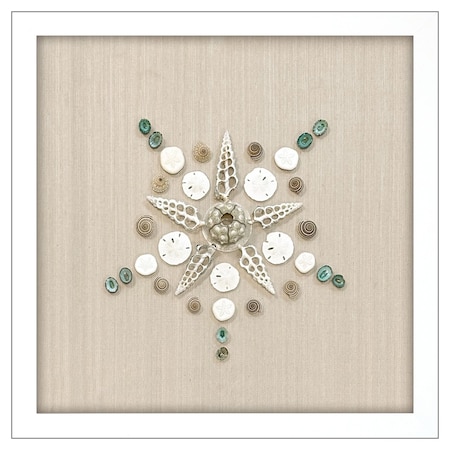 Homeroots Caparazon Seashells and Coastal Icons White Framed Wall Art 558353