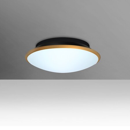 Besa Lighting Silk 17 Ceiling, Opal/Gold, 1x60W Incandescent SILK10GDC